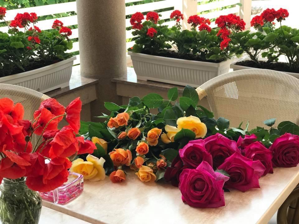 Villa Brussels 데바 외부 사진